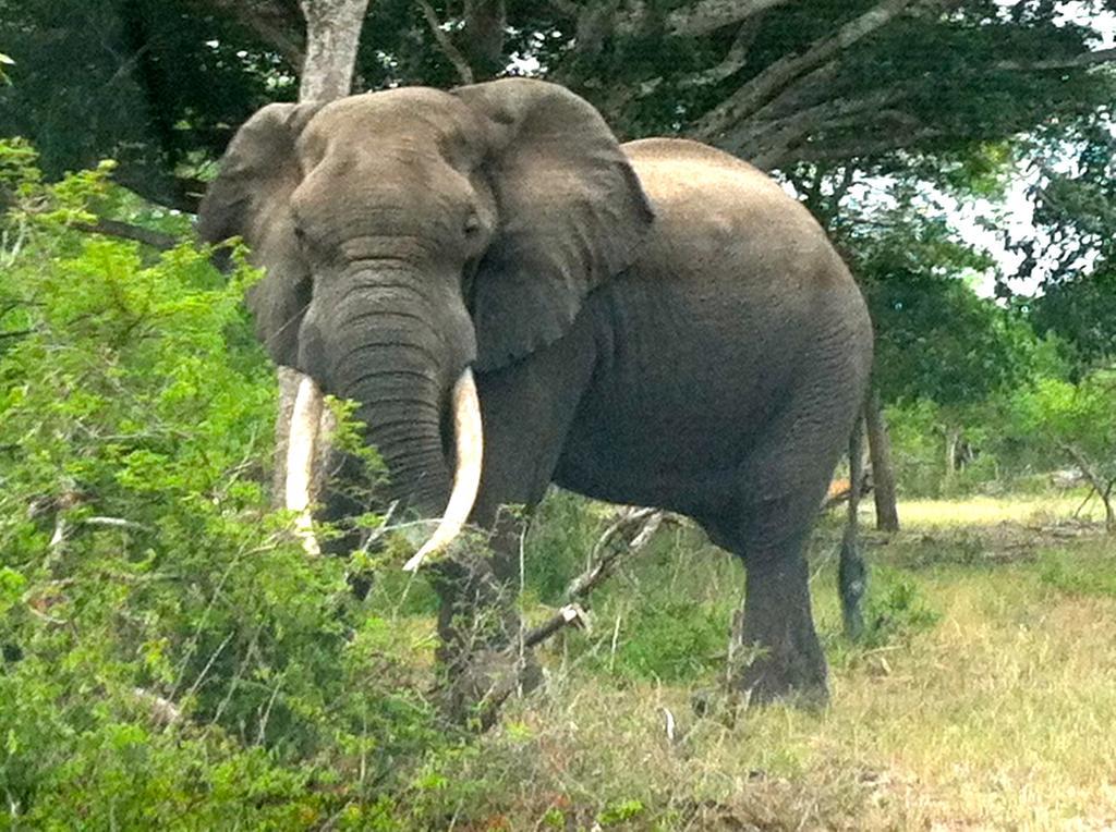 H23 Ezulwini Lodge in Sodwana Bay Exterior foto